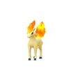 Ponyta