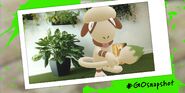 Go Snapshot Smeargle announcement