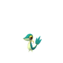 Snivy