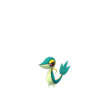 Pokemon New Release Shiny Venipede Registered Or 30days