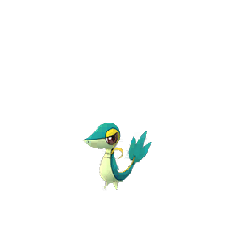 Snivy Pokemon Go Wiki Fandom Snivy Pokemon Go Wiki Fandom