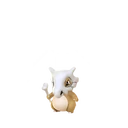Cubone