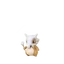 Cubone