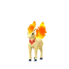 Ponyta