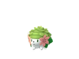 Shaymin