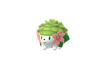 How to get Magical Leaf on Sky Shaymin? : r/TheSilphRoad