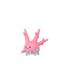 Corsola