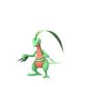 Grovyle