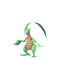 Grovyle