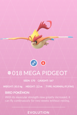Mega Pidgeot, Victory Road Wiki