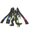 Complete Forme Zygarde