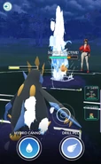 Waterfall used in a Trainer Battle
