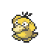 Psyduck