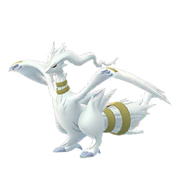 Shiny Reshiram or Shiny Zekrom