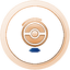 Backpacker Bronze.png
