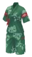 Paldea Set (Kitakami)