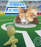 Karate Chop used in a Gym Battle