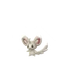 Minccino