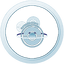 Sightseer Silver.png