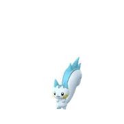 Pachirisu female