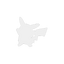 PikachuFan shadow.png