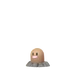 Diglett