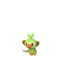 Grookey