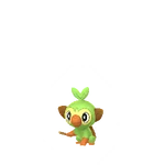 Grookey