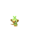 Grookey