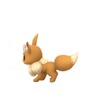 Tail of male Eevee