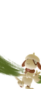 Photobomb New Pokémon Snap Celebration.png