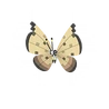 Vivillon