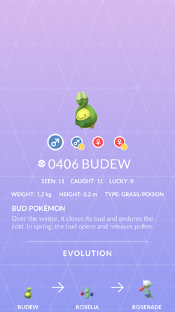 Budew, Pokémon GO Wiki