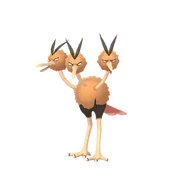 Dodrio female
