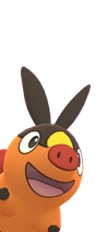 Tepig