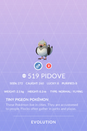 Pidove Pokédex entry