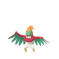 Hawlucha