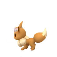 Tail of female Eevee