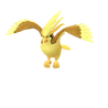Pidgeot