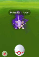 Catching Shadow Pokemon.gif