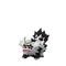 Zigzagoon