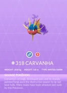 Carvanha Shadow Pokédex entry