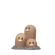 Dugtrio