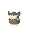 Raticate