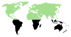 Kartana region