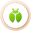 BugCatcher Bronze.png