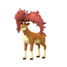 Sawsbuck