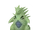 Tyranitar