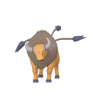 Tauros