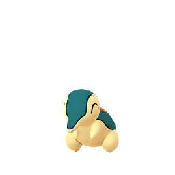 Cyndaquil Pokemon Go Wiki Fandom